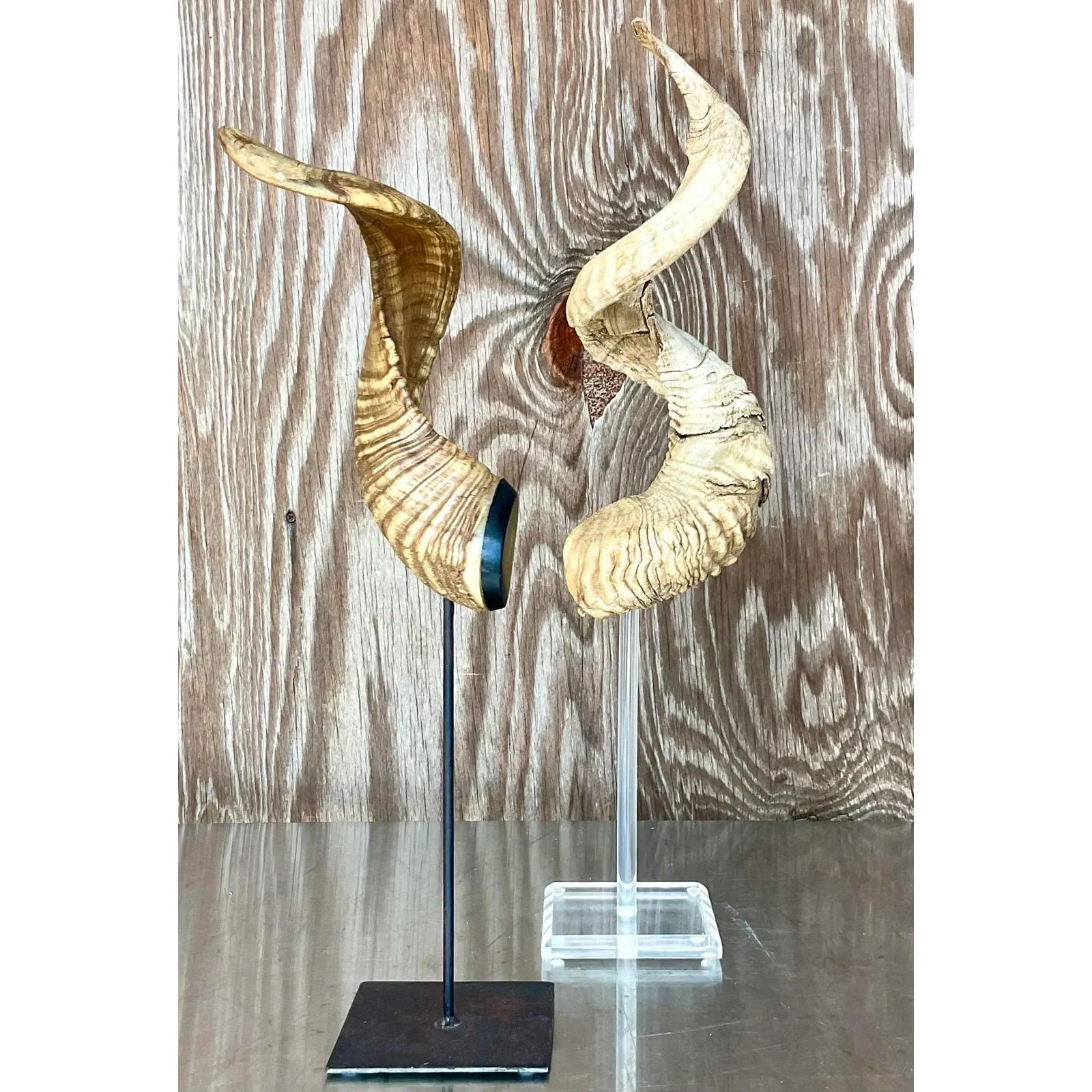 Vintage Boho Set of Single Antlers — additional photo 3