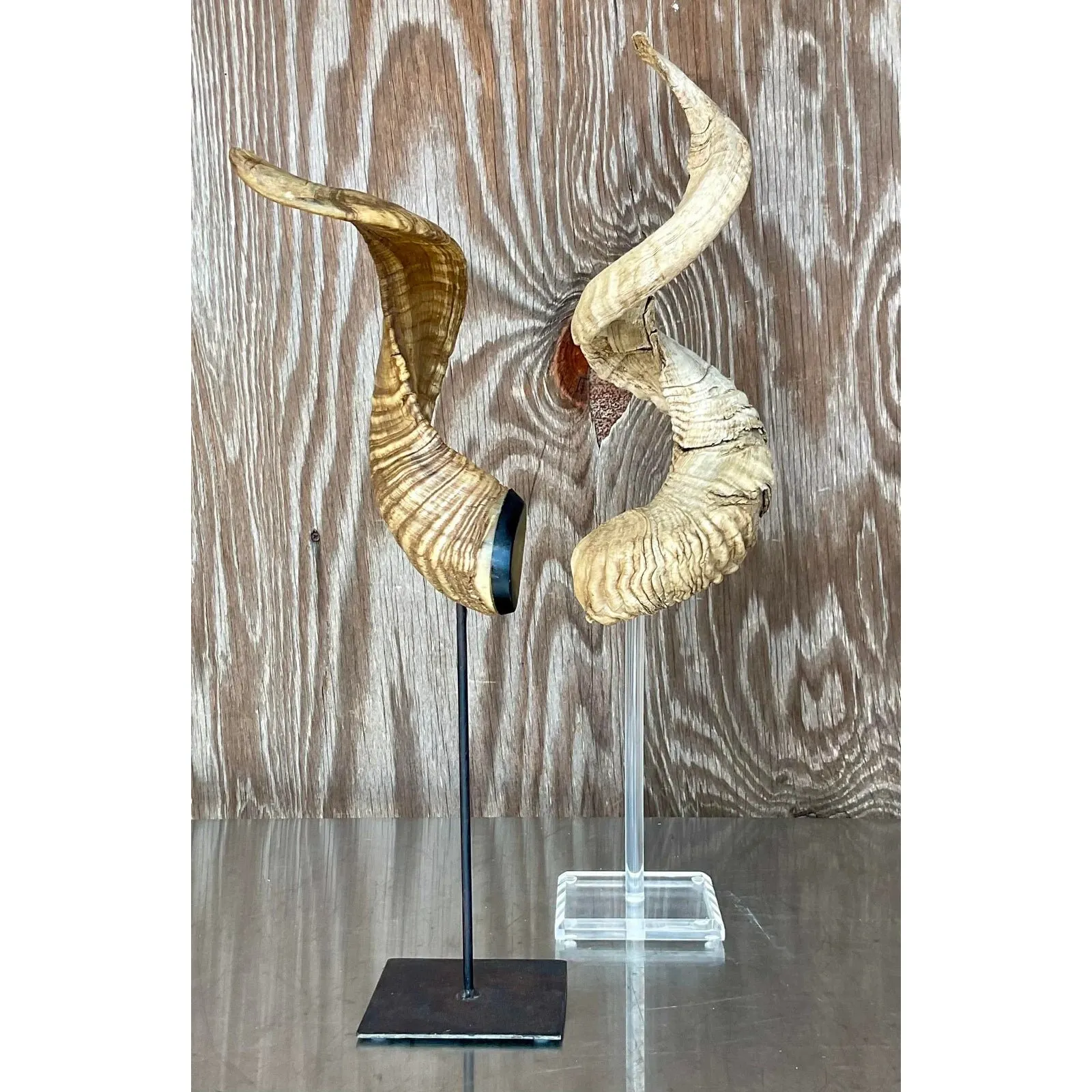 Vintage Boho Set of Single Antlers
