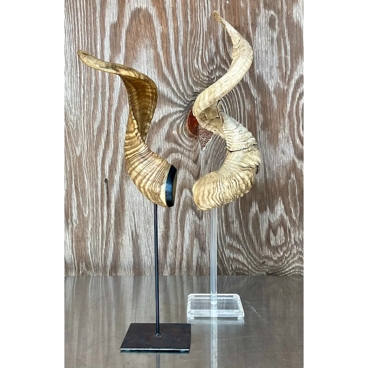 Vintage Boho Set of Single Antlers