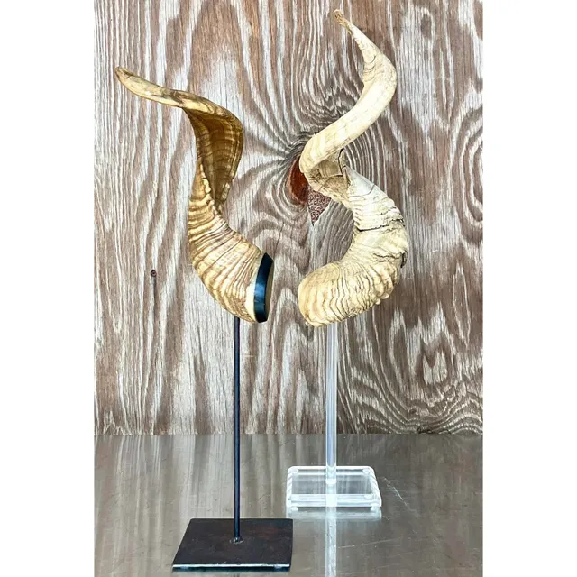 Vintage Boho Set of Single Antlers — additional photo 2