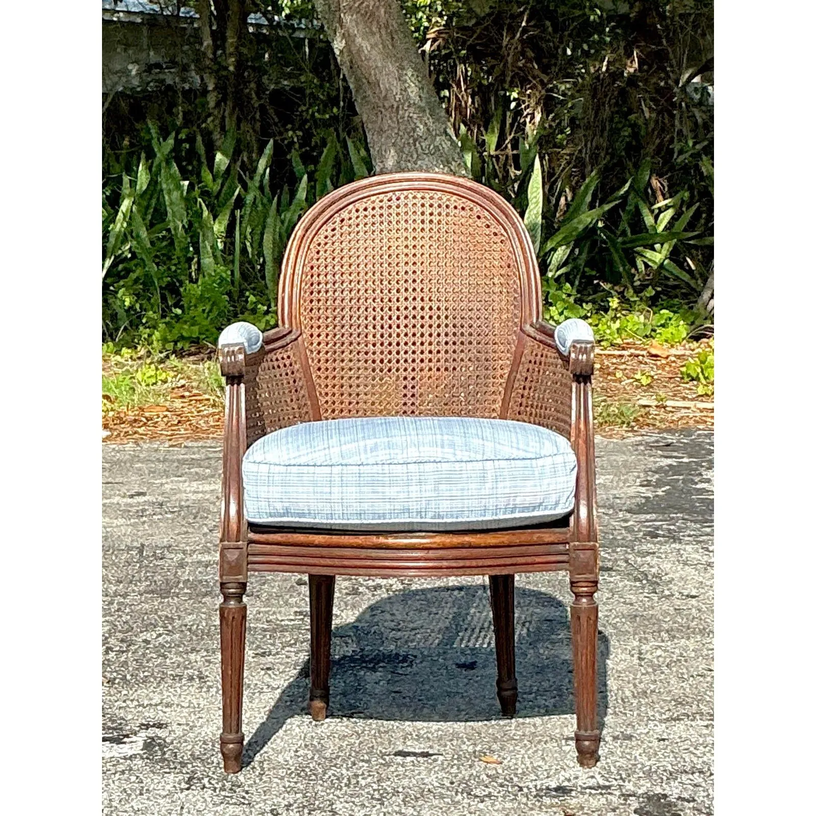 Vintage Regency Cane Fireside Bergere Chair