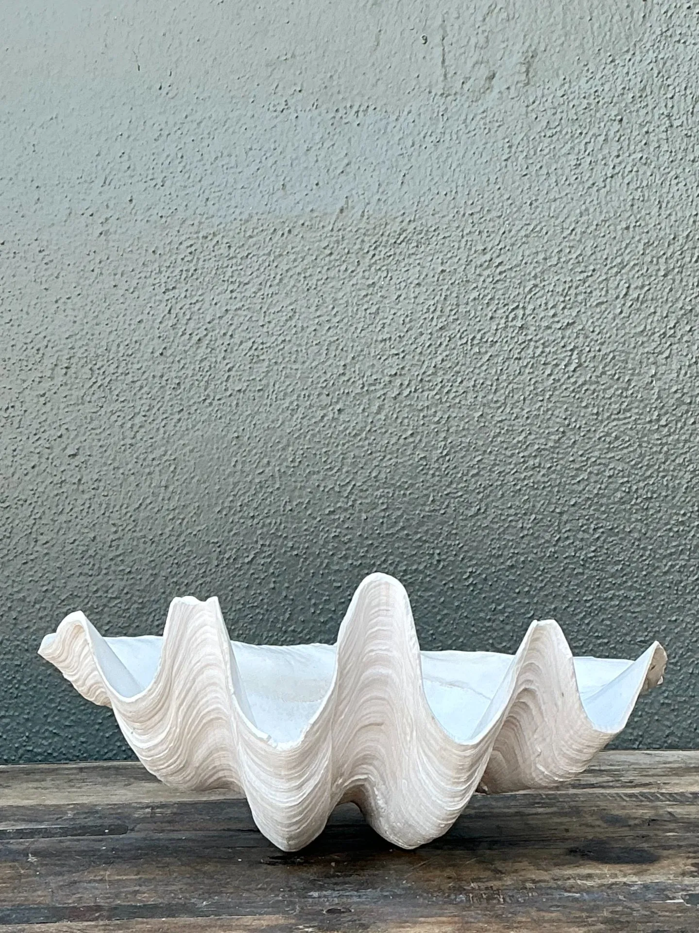 Vintage Gigas Giant Clamshell #2 — additional photo 1