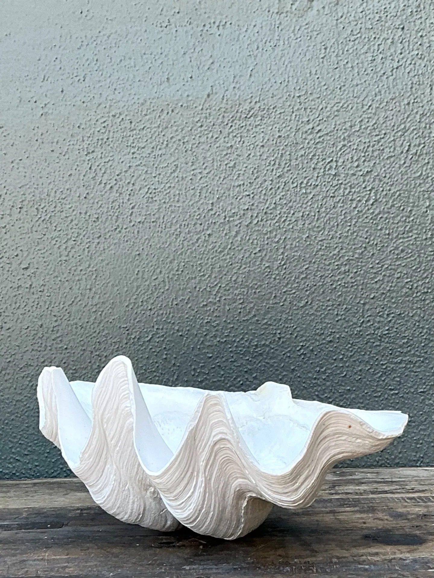 Vintage Gigas Giant Clamshell #2 — additional photo 6
