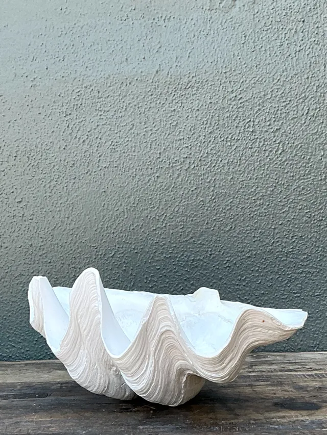 Vintage Gigas Giant Clamshell #2 — additional photo 6