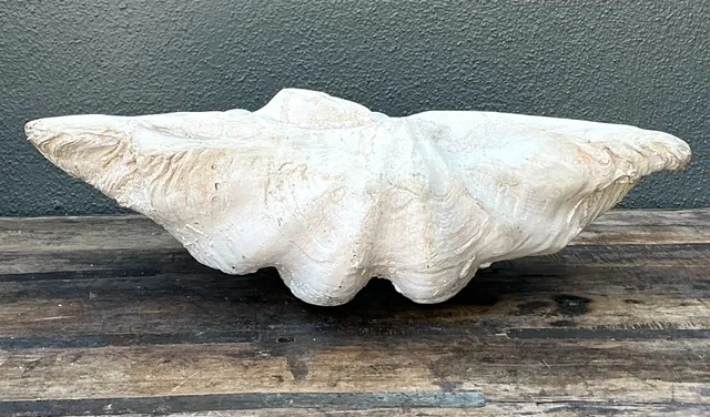 Vintage Gigas Giant Clamshell #13 — additional photo 2
