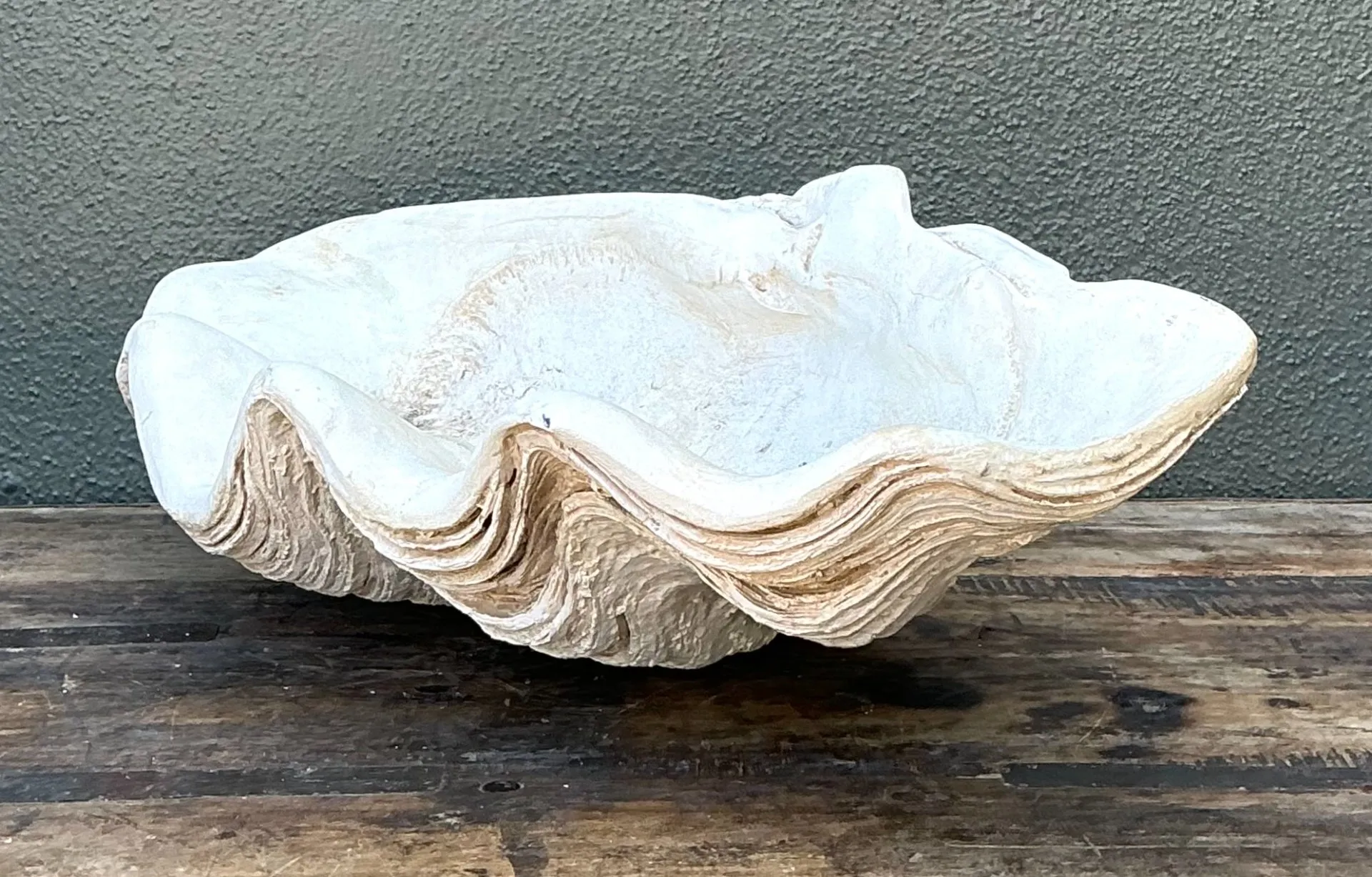 Vintage Gigas Giant Clamshell #13 — additional photo 3