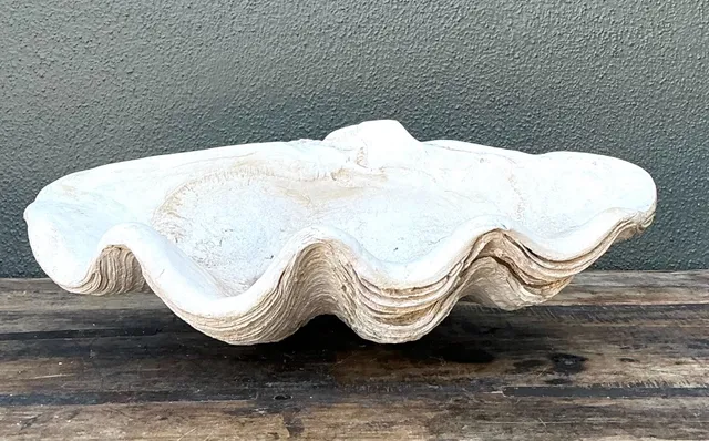 Vintage Gigas Giant Clamshell #13 — additional photo 4