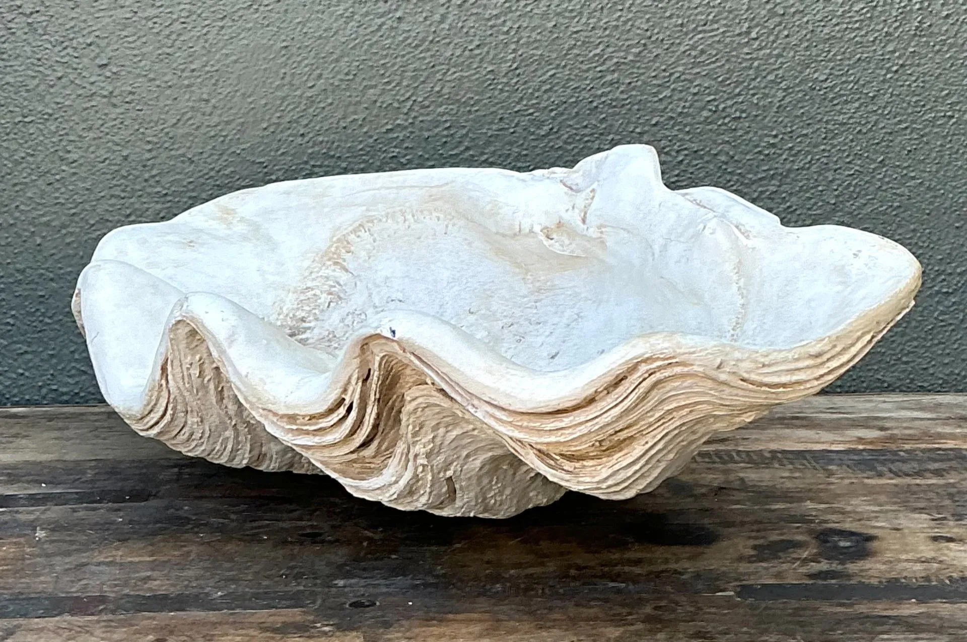 Vintage Gigas Giant Clamshell #13 — additional photo 6