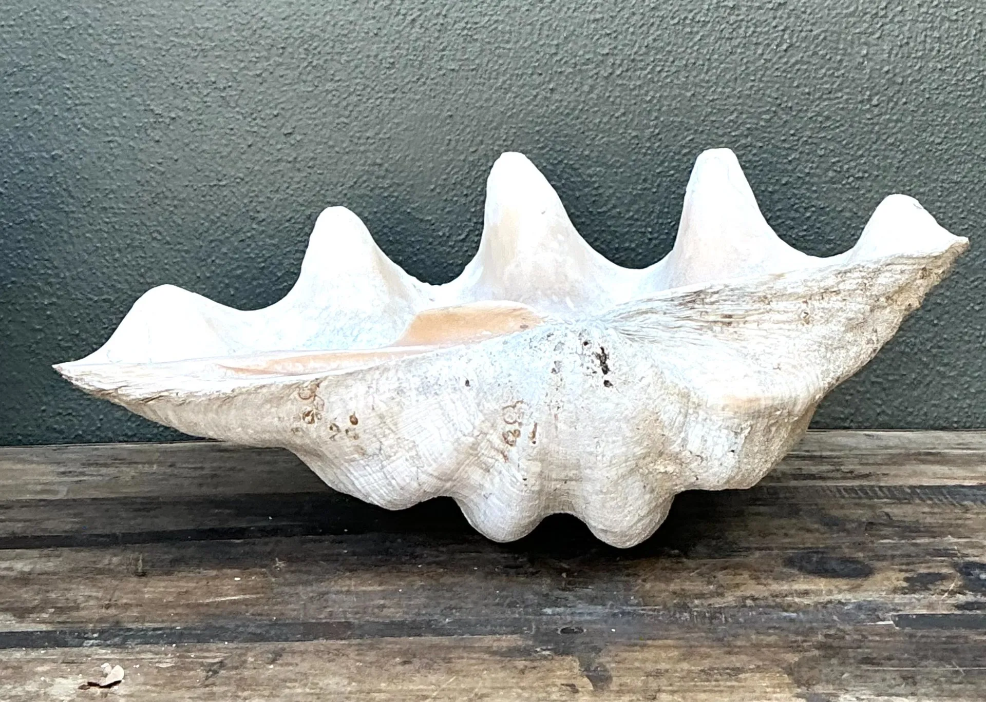 Vintage Gigas Giant Clamshell #18 — additional photo 2