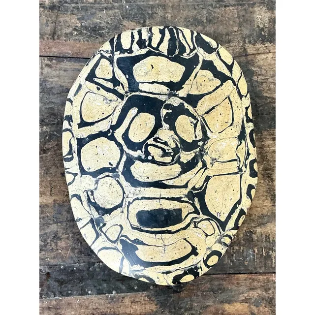 Vintage Italian Scagliola Pigmented Plaster Turtle Shell - Synthetic, 6W x 7.75H — additional photo 1