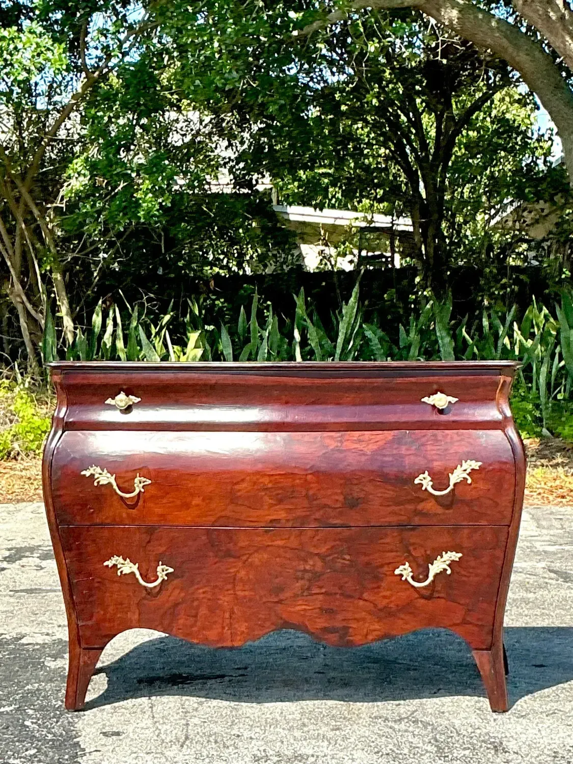 1970s Vintage Regency Olive Burl Wood Bombe Chest — additional photo 2