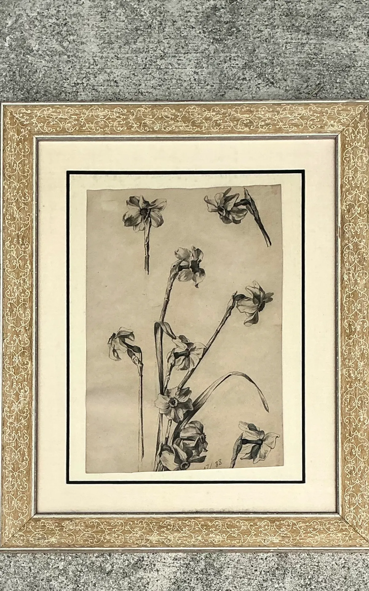 Framed Botanical Drawing with Gold Detailing — additional photo 6