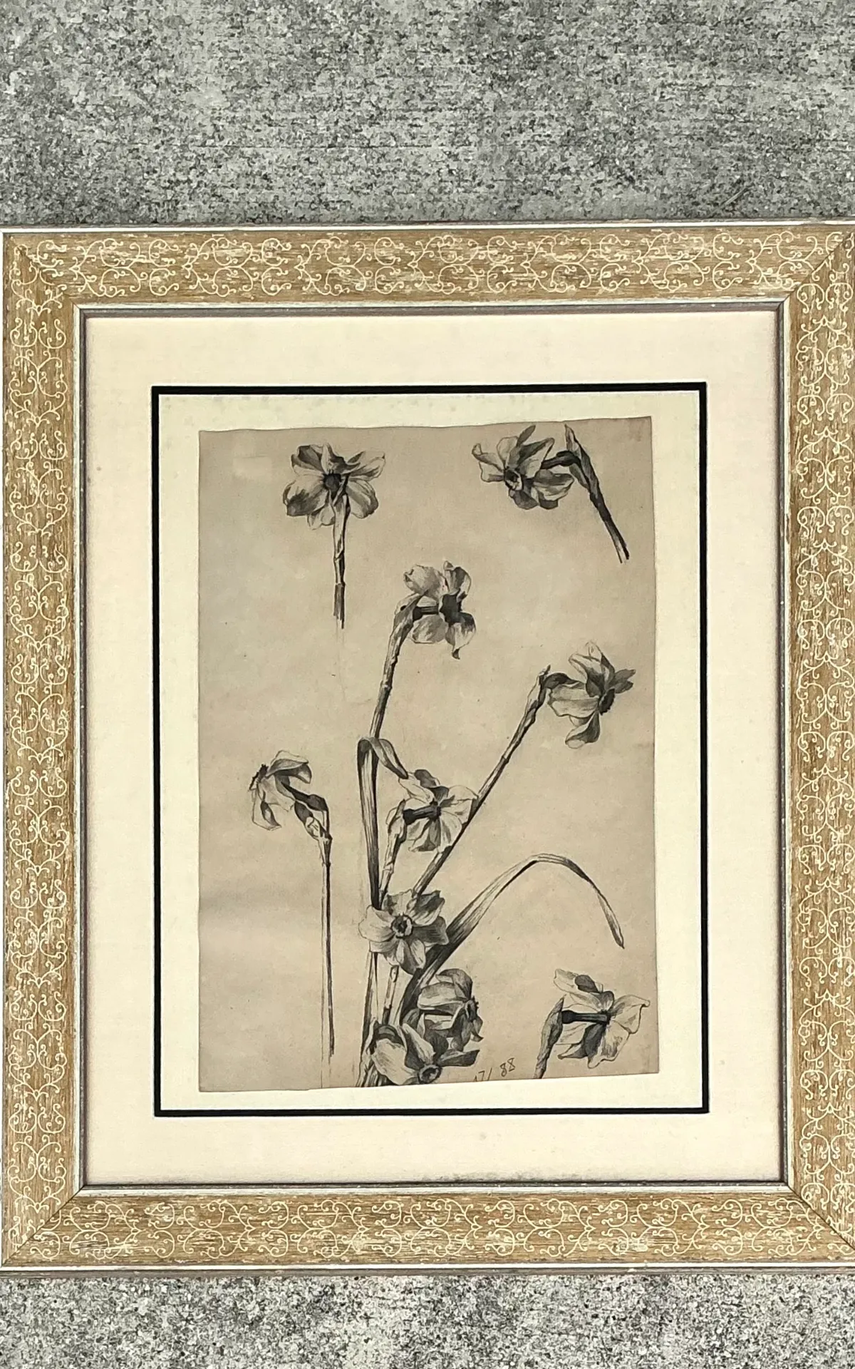 Framed Botanical Drawing with Gold Detailing