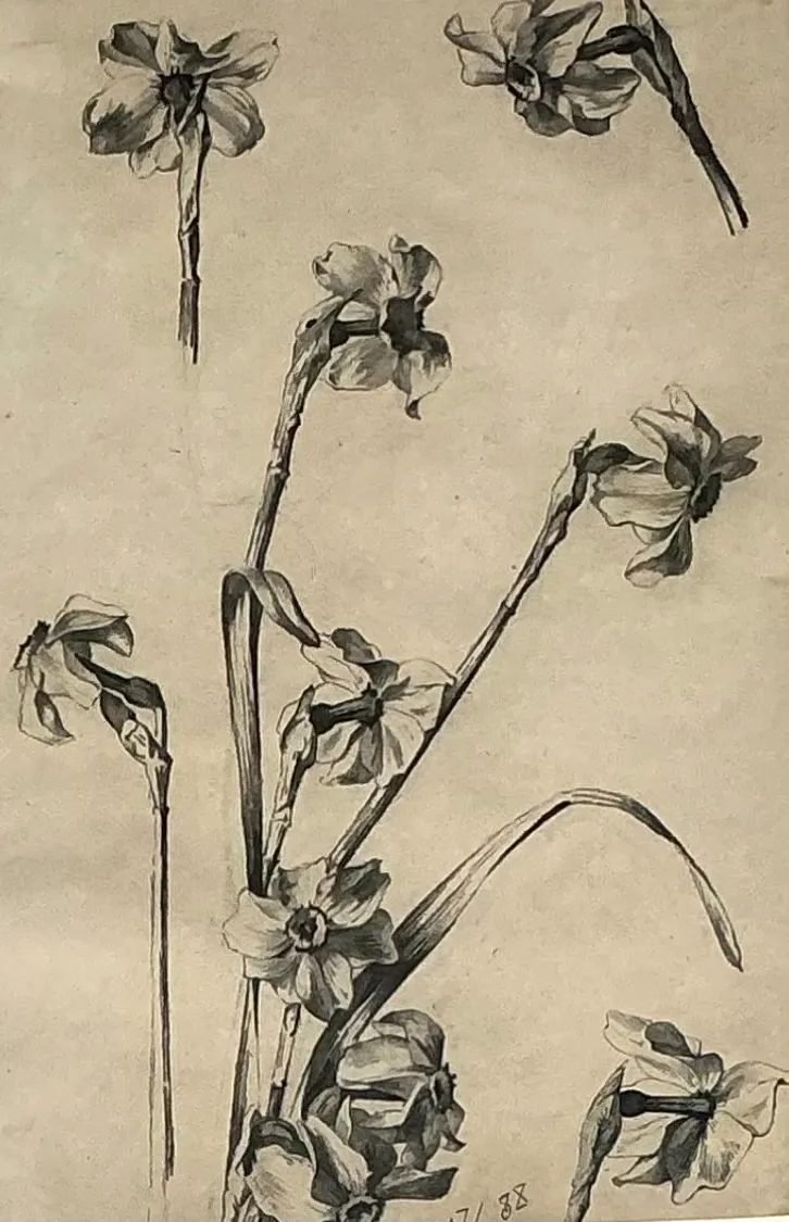 Framed Botanical Drawing with Gold Detailing — additional photo 3