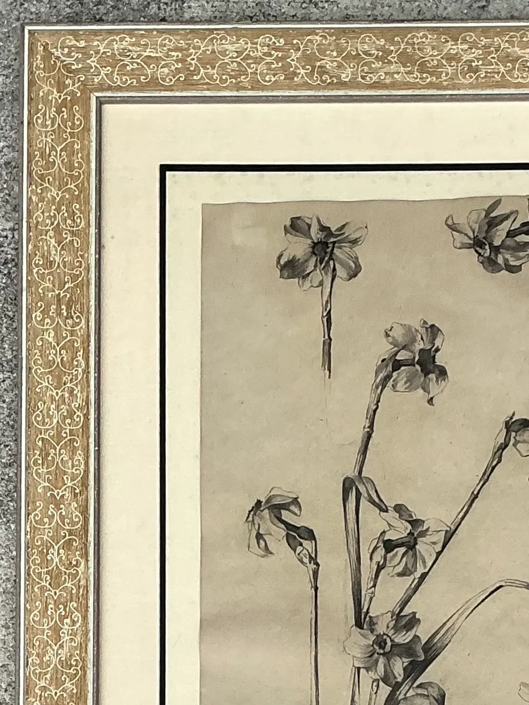 Framed Botanical Drawing with Gold Detailing — additional photo 2