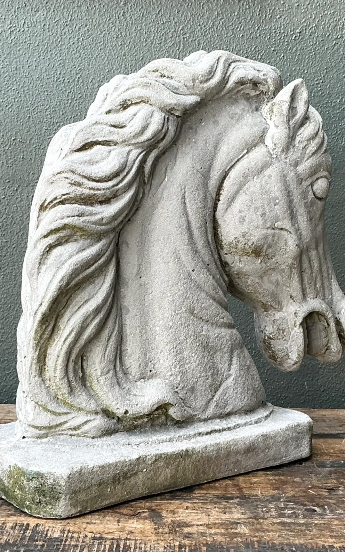 Vintage Cement Equestrian Bust — additional photo 8