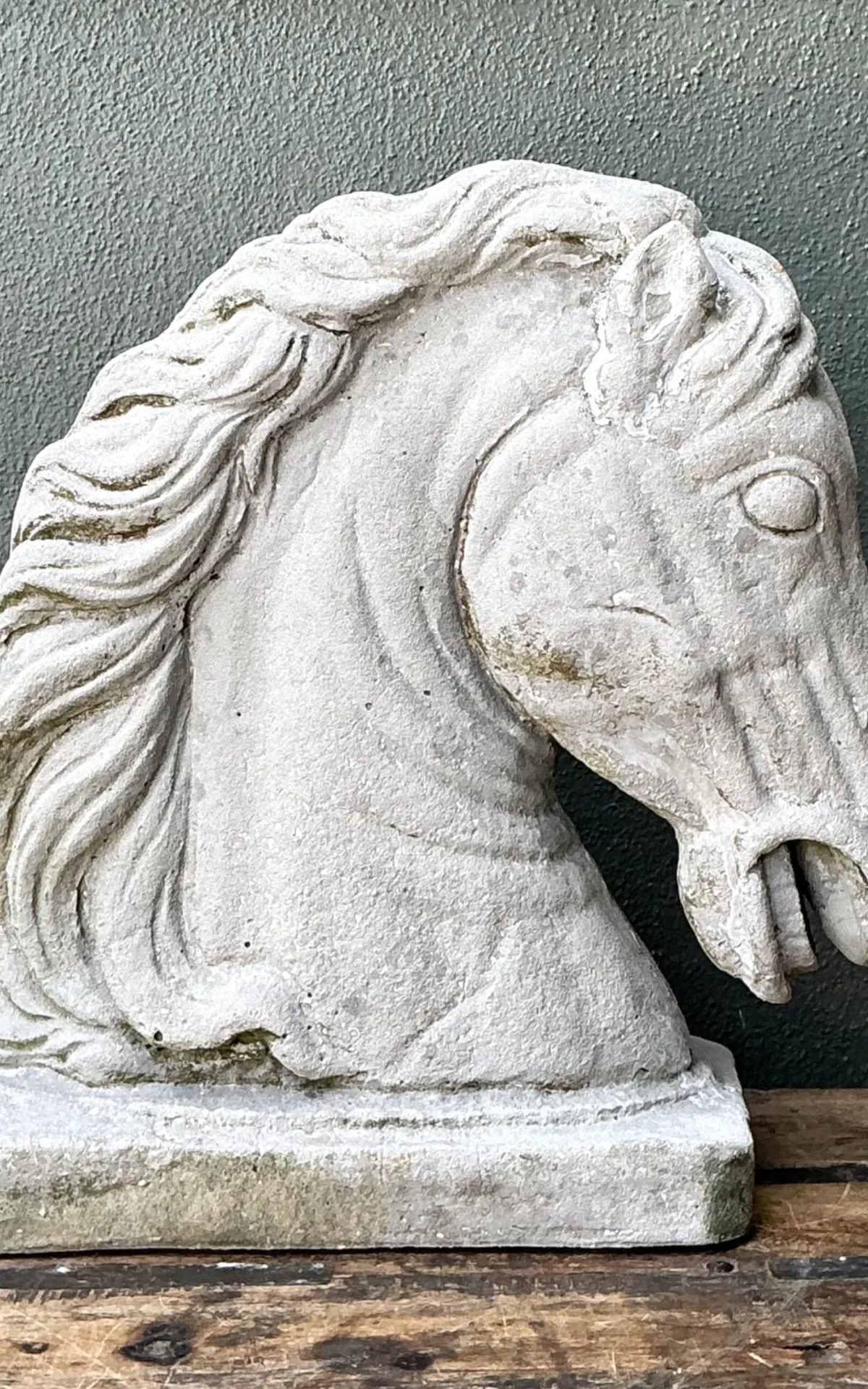 Vintage Cement Equestrian Bust — additional photo 2