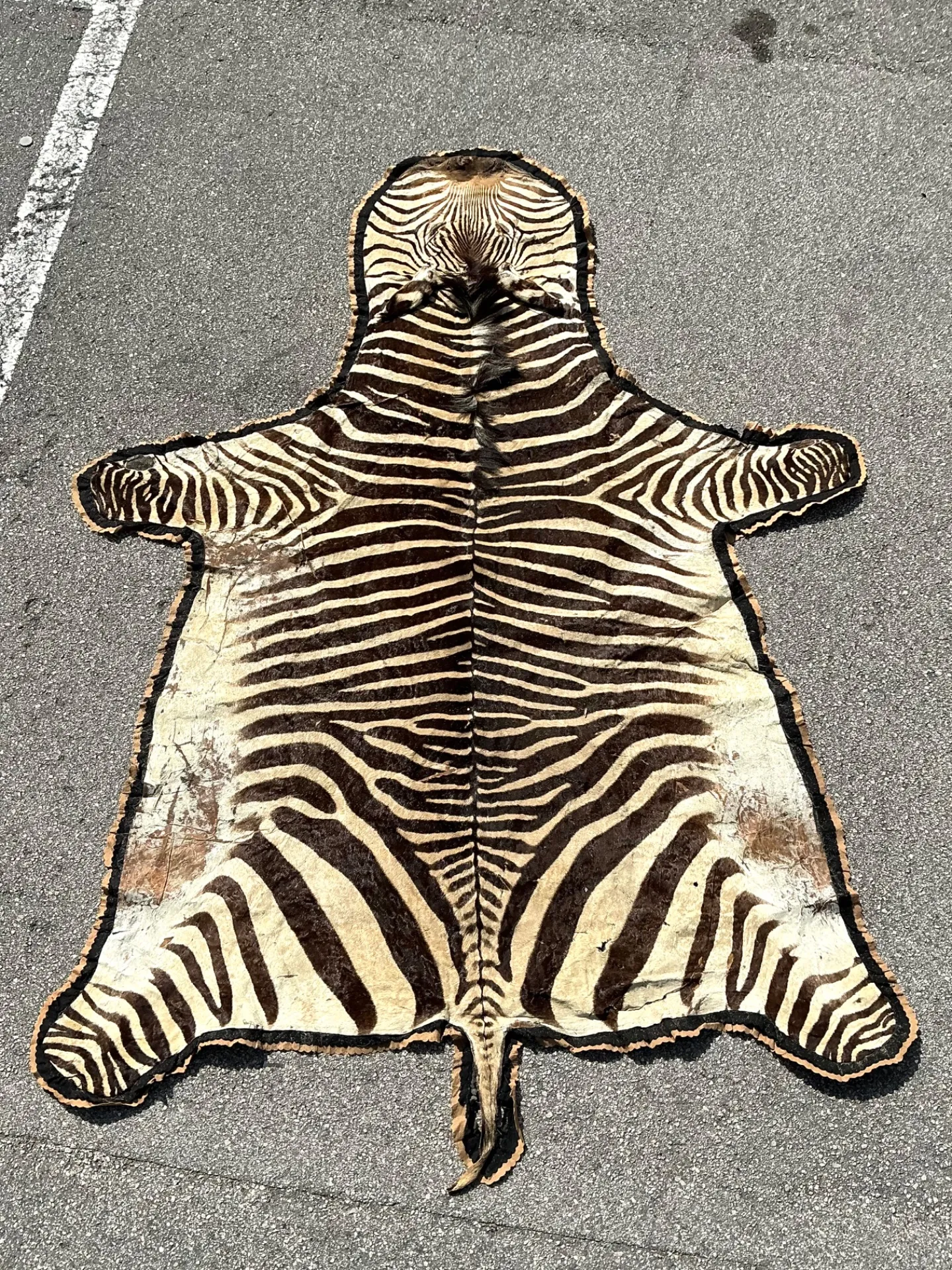 Vintage Zebra Hide Rug — additional photo 5