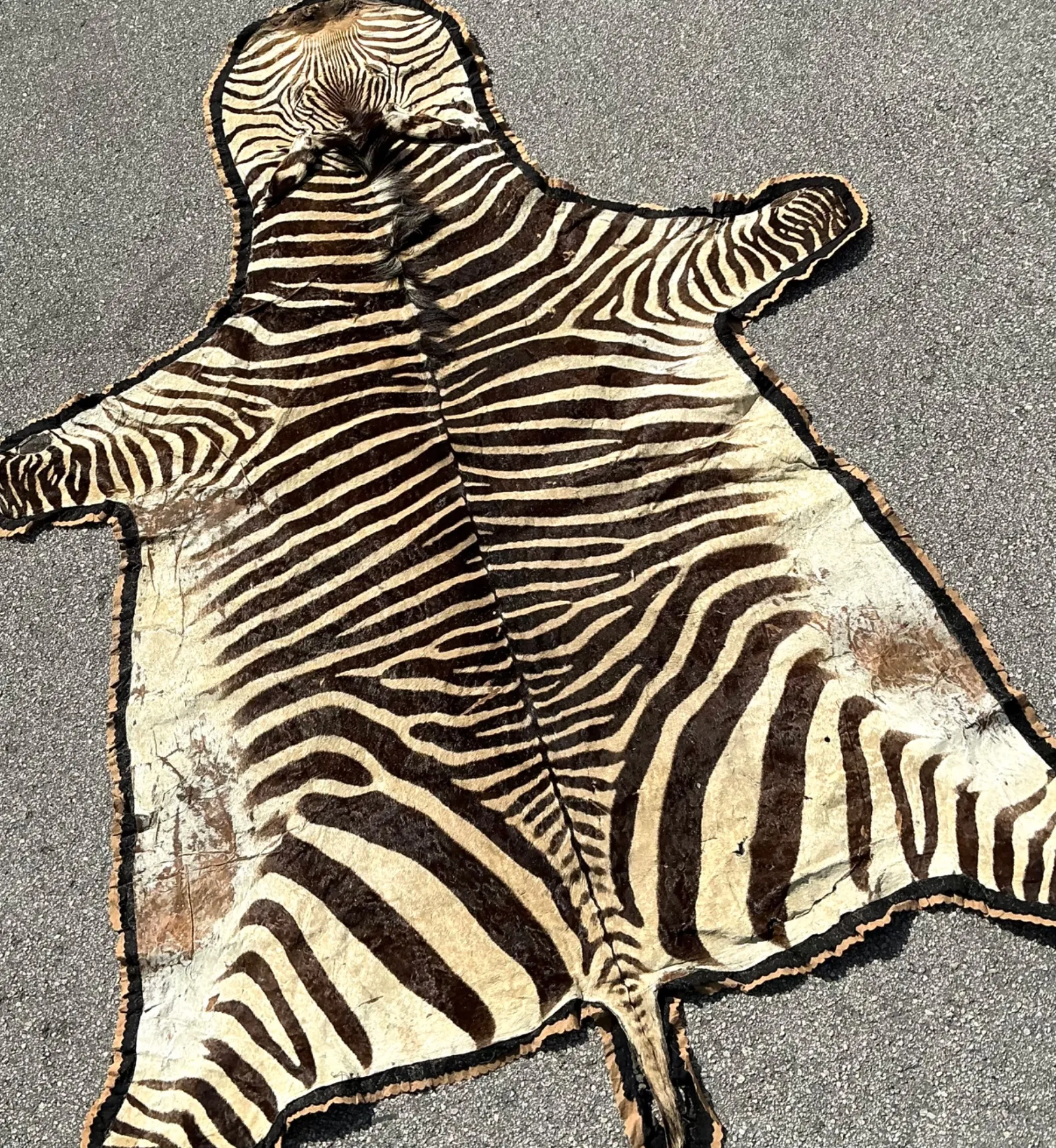 Vintage Zebra Hide Rug — additional photo 8