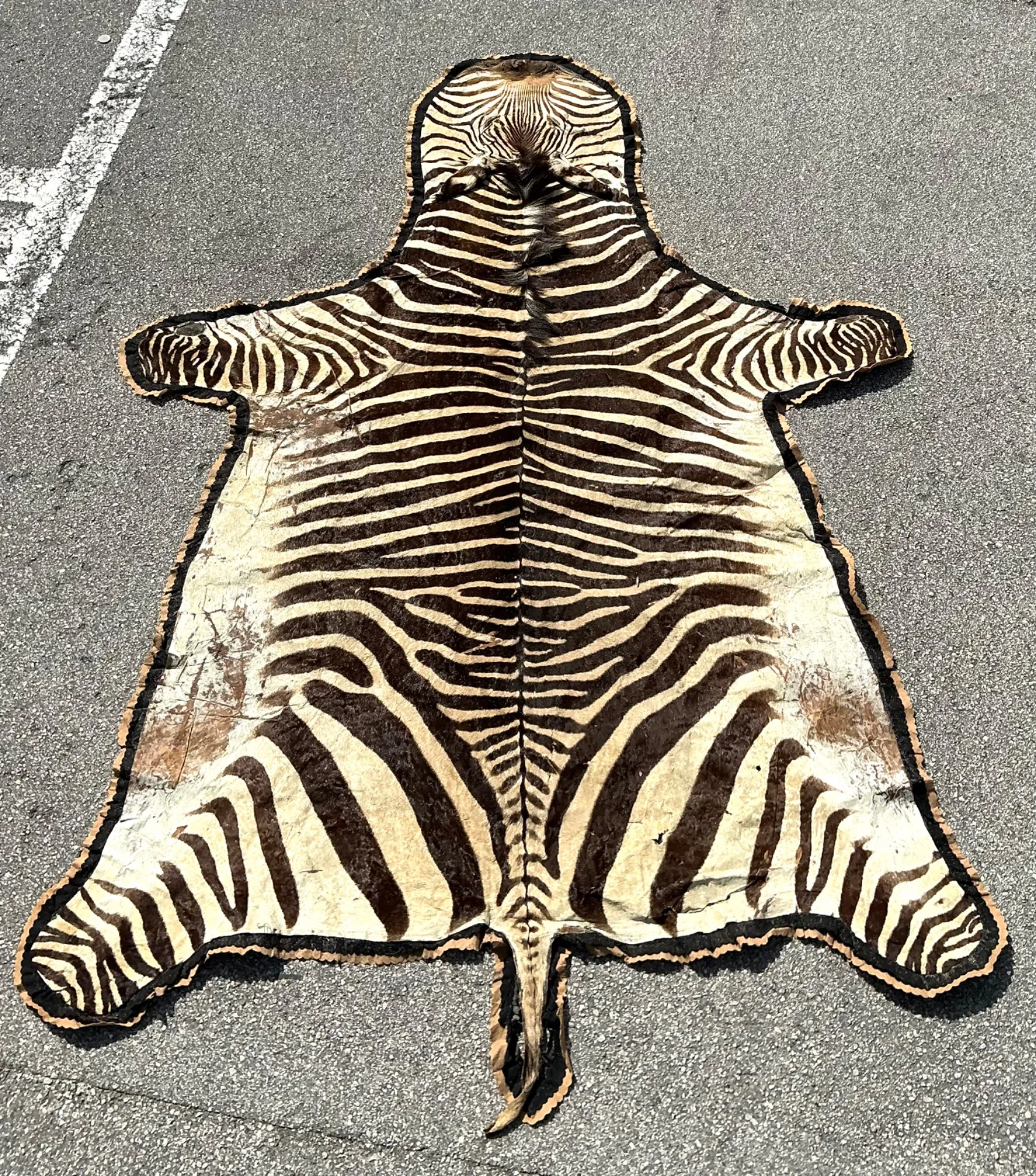 Vintage Zebra Hide Rug — additional photo 3