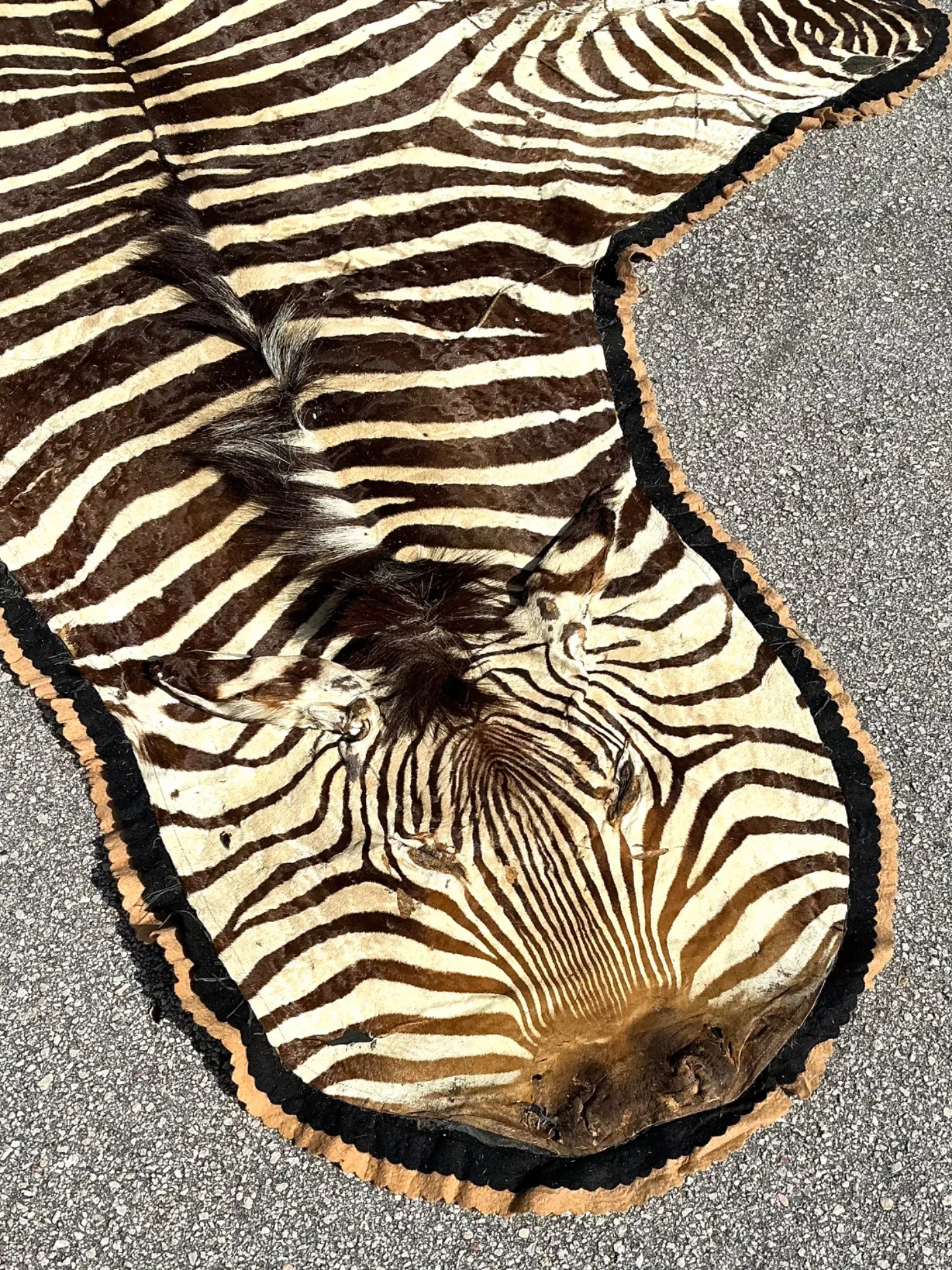 Vintage Zebra Hide Rug — additional photo 1