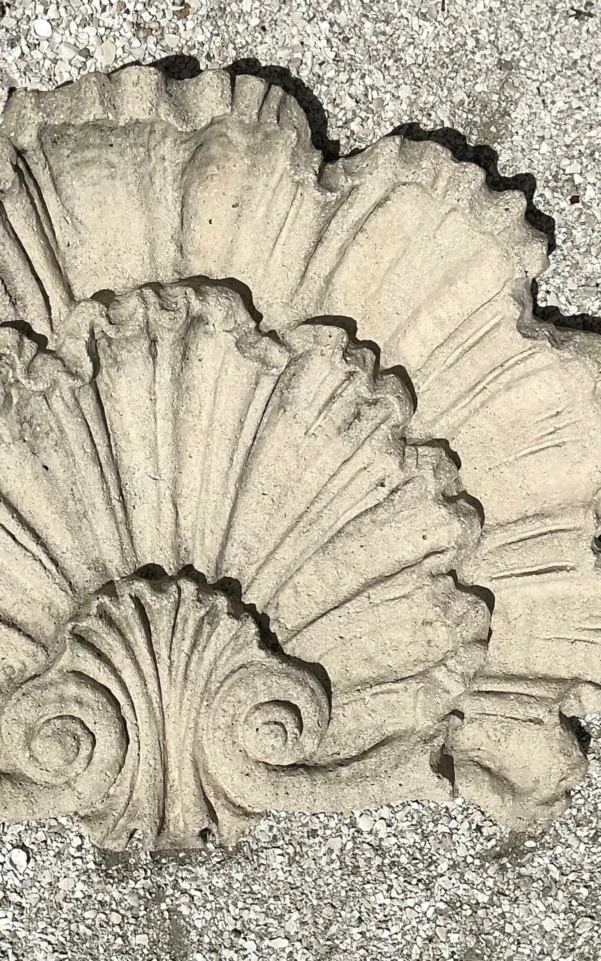 Vintage Concrete Shell Wall Plaque