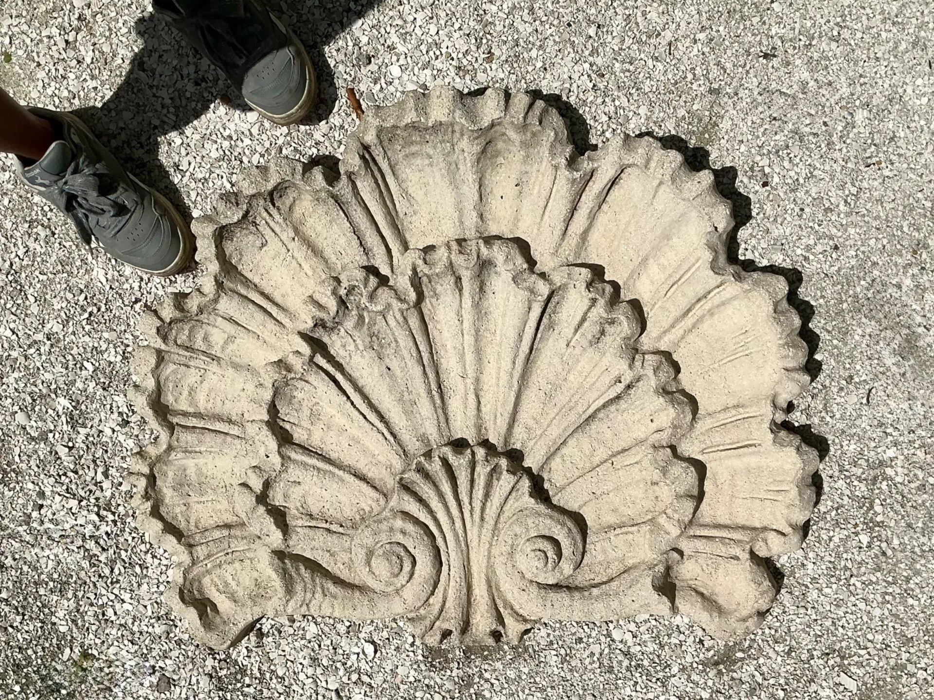 Vintage Concrete Shell Wall Plaque — additional photo 7