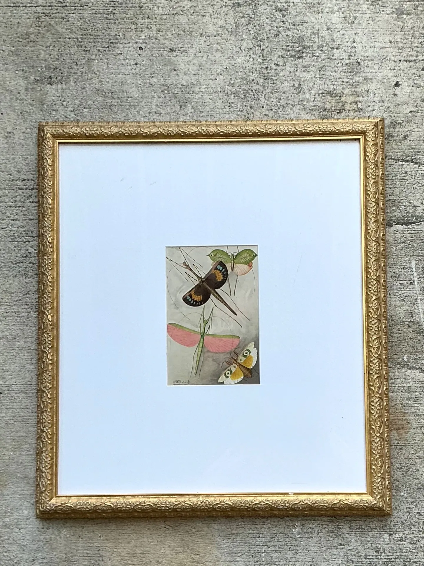 Vintage Botanical Insect Study in Gilt Frame — additional photo 5