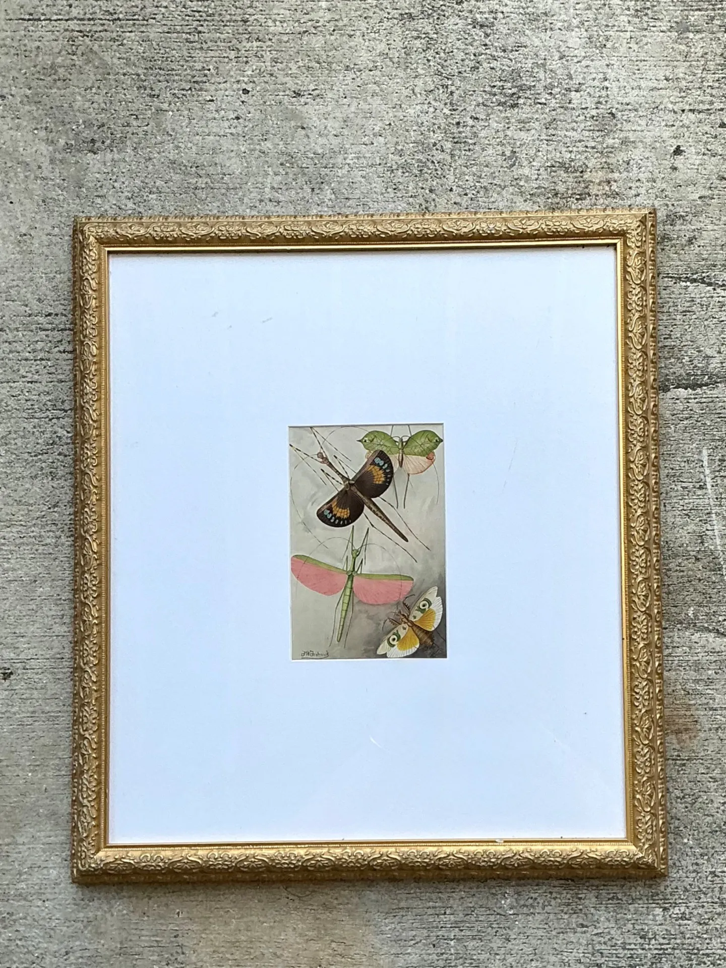 Vintage Botanical Insect Study in Gilt Frame — additional photo 1