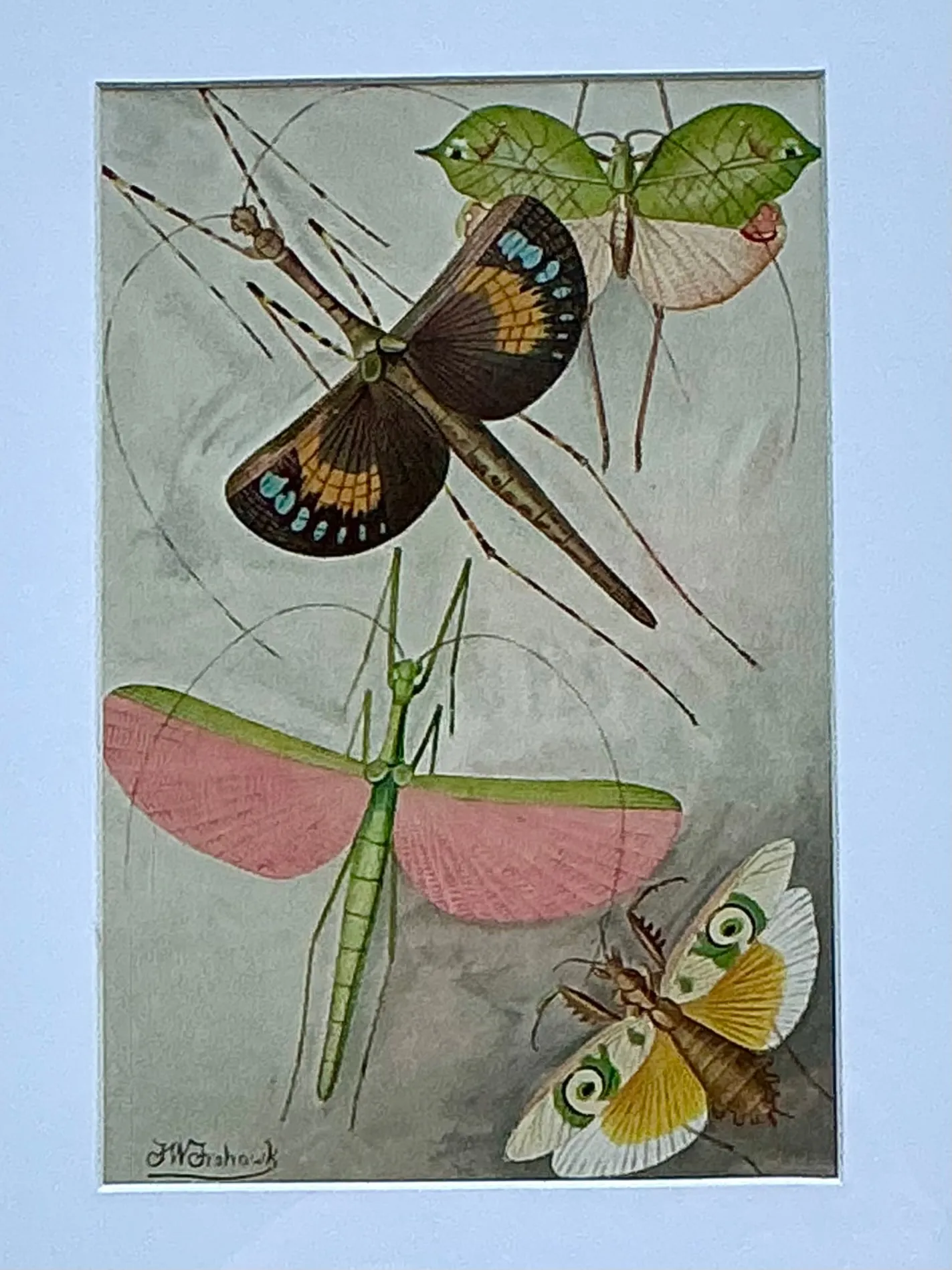 Vintage Botanical Insect Study in Gilt Frame — additional photo 6