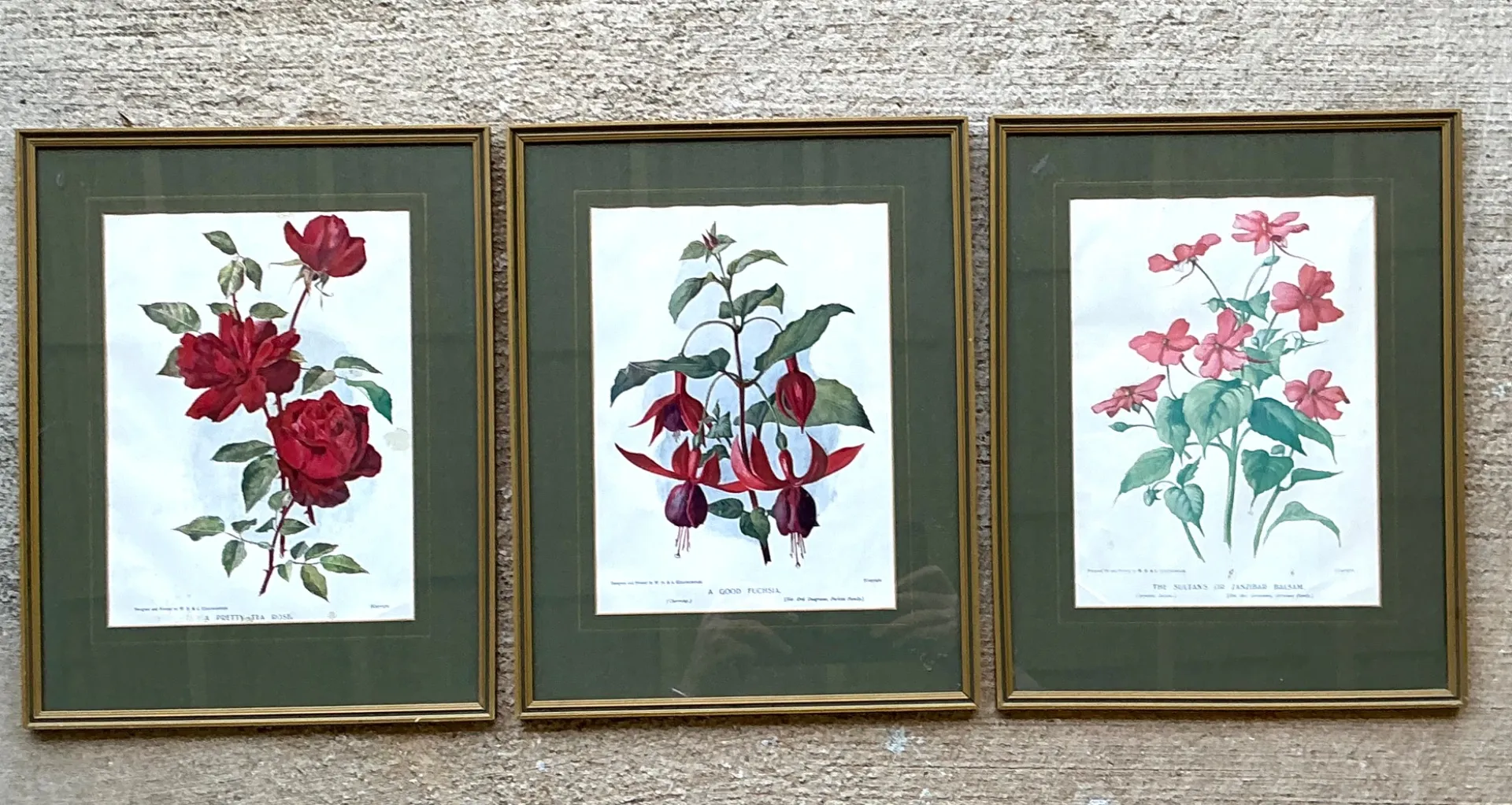 Vintage Botanical Floral Prints in Gilt Frames - Set of 3 — additional photo 5