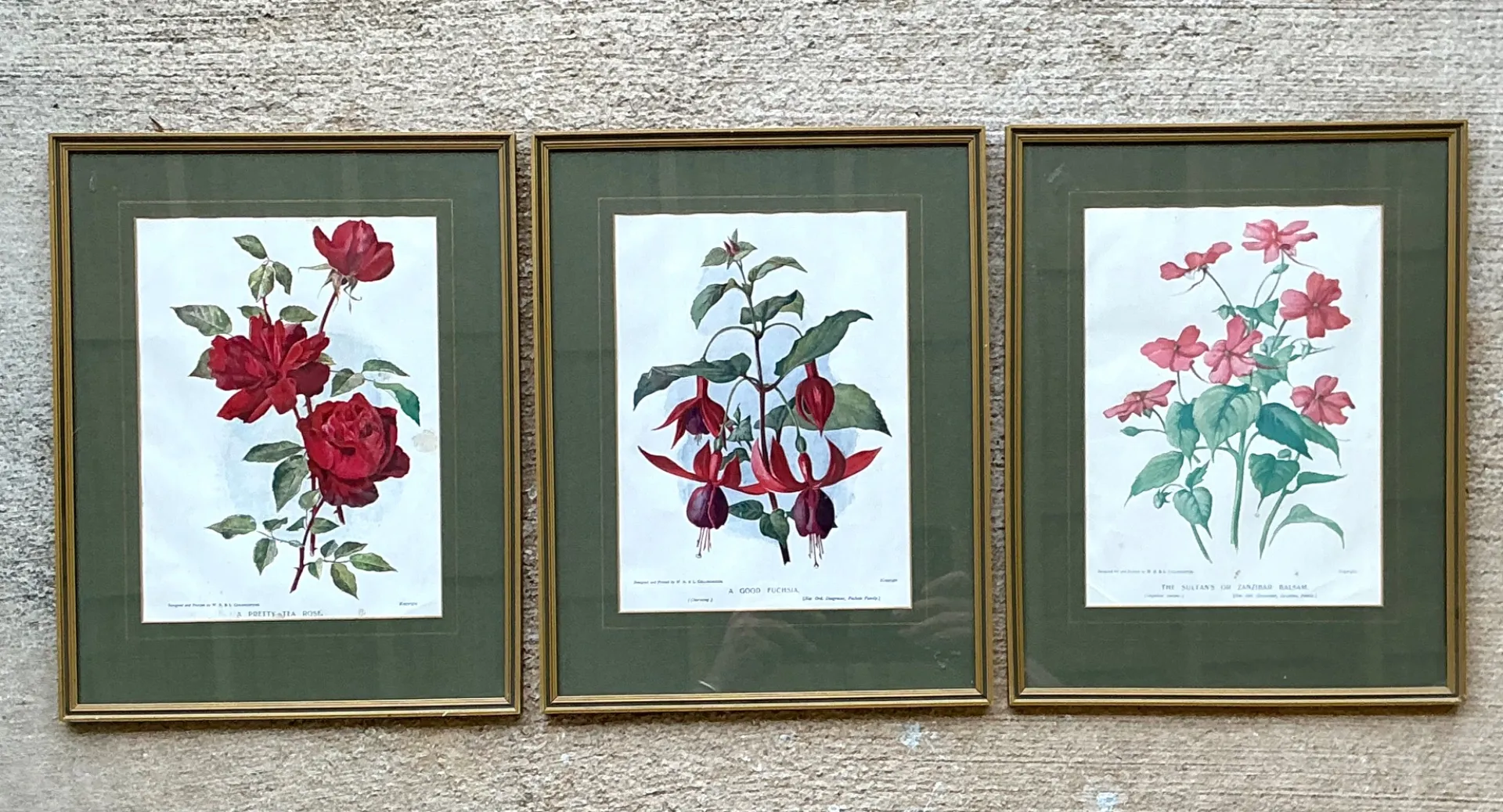 Vintage Botanical Floral Prints in Gilt Frames - Set of 3 — additional photo 8