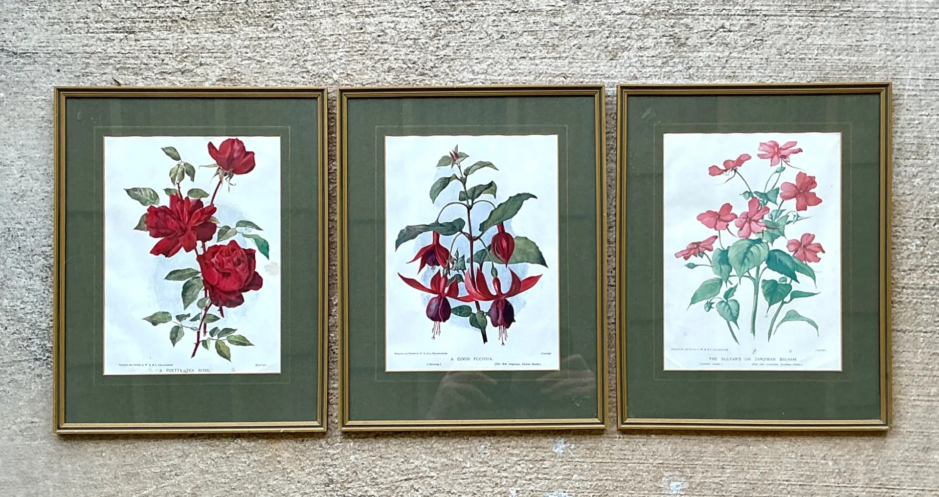 Vintage Botanical Floral Prints in Gilt Frames - Set of 3 — additional photo 3
