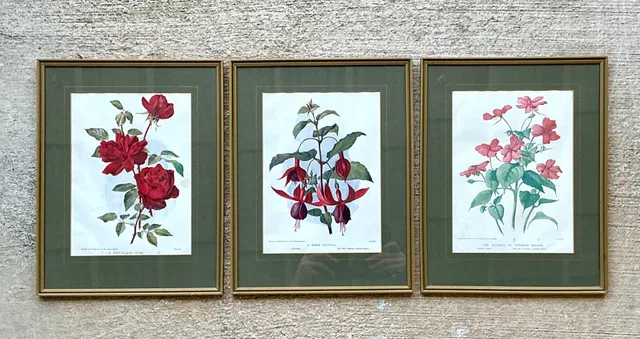 Vintage Botanical Floral Prints in Gilt Frames - Set of 3 — additional photo 3