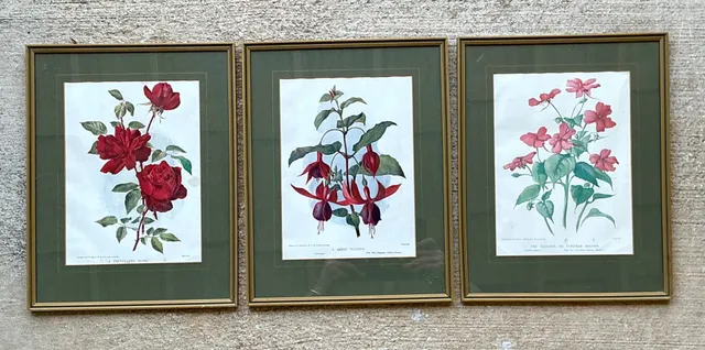 Vintage Botanical Floral Prints in Gilt Frames - Set of 3 — additional photo 1