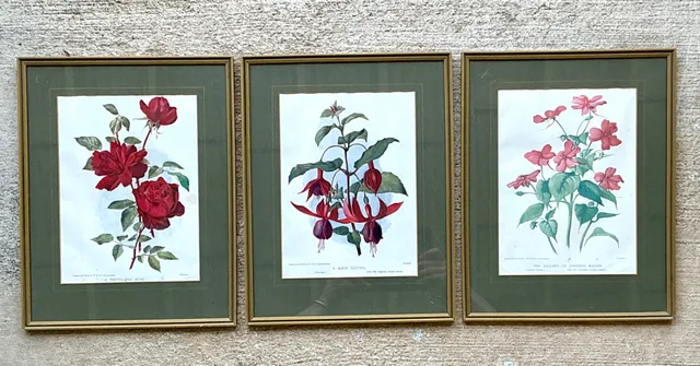 Vintage Botanical Floral Prints in Gilt Frames - Set of 3 — additional photo 6