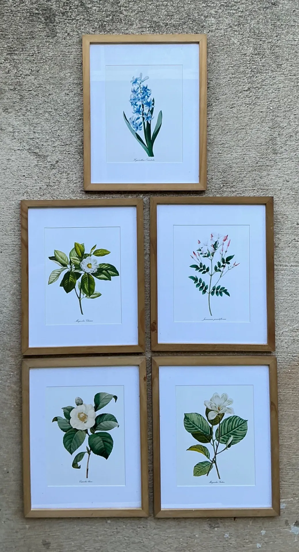 Vintage Botanical Floral Prints in Wood Frames - Set of 5 — additional photo 6