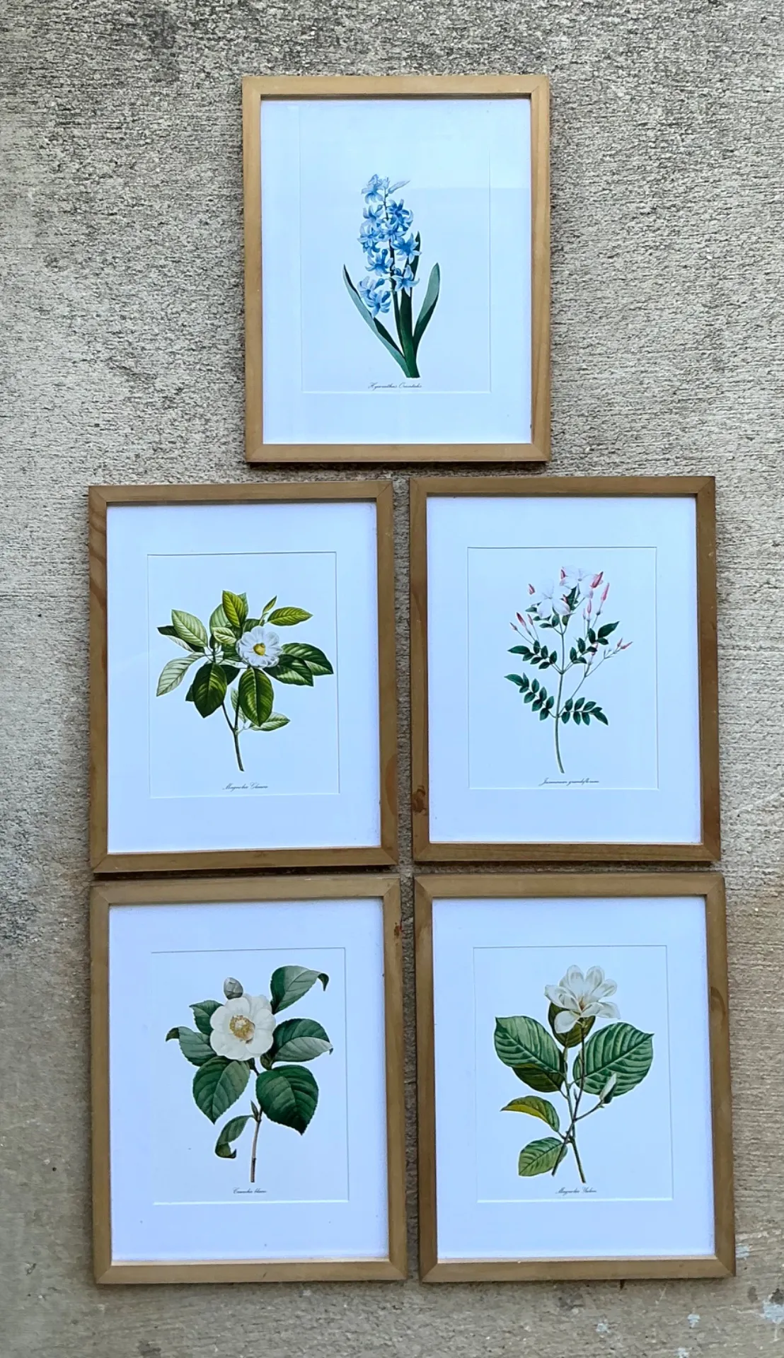 Vintage Botanical Floral Prints in Wood Frames - Set of 5 — additional photo 7