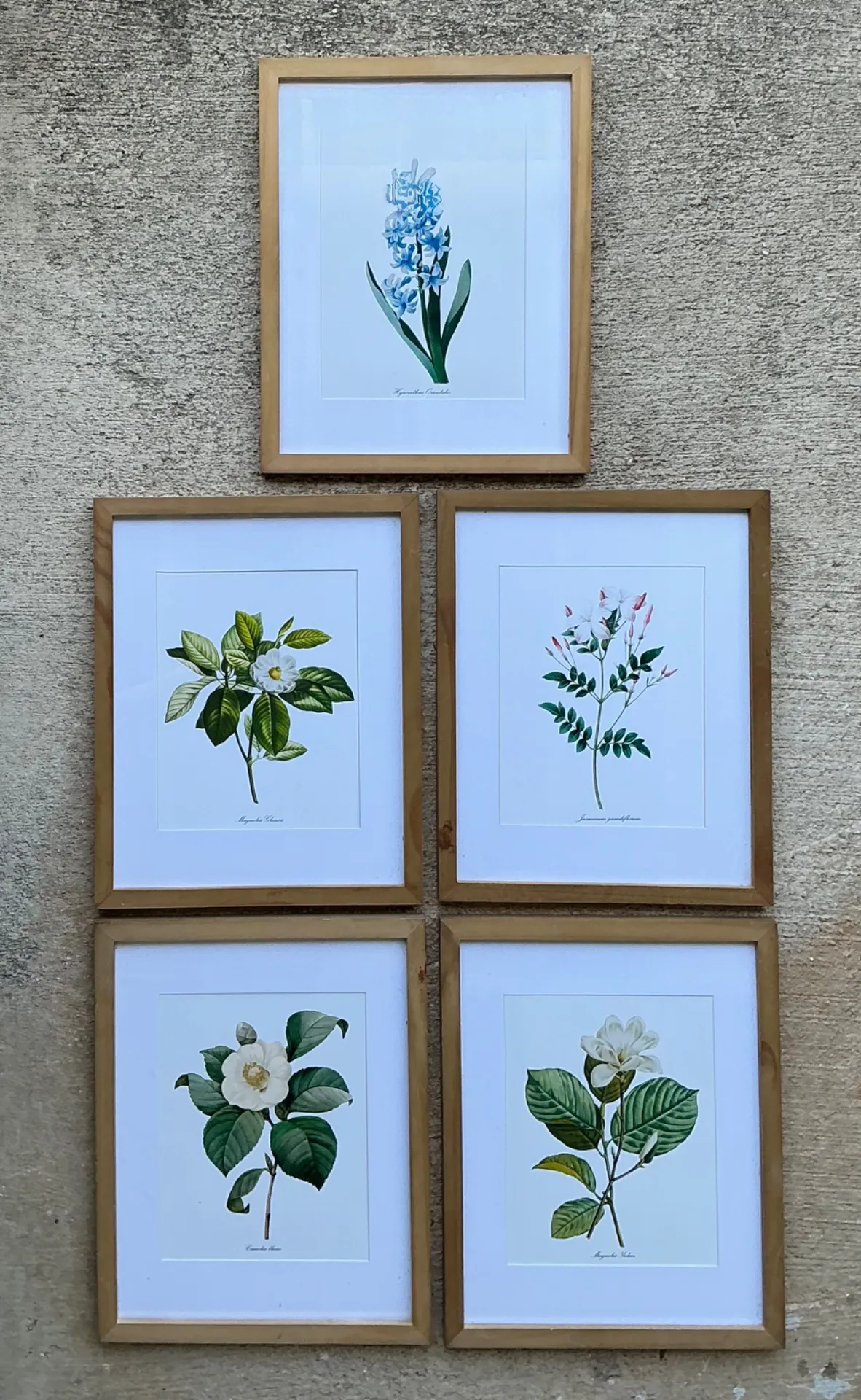 Vintage Botanical Floral Prints in Wood Frames - Set of 5 — additional photo 8