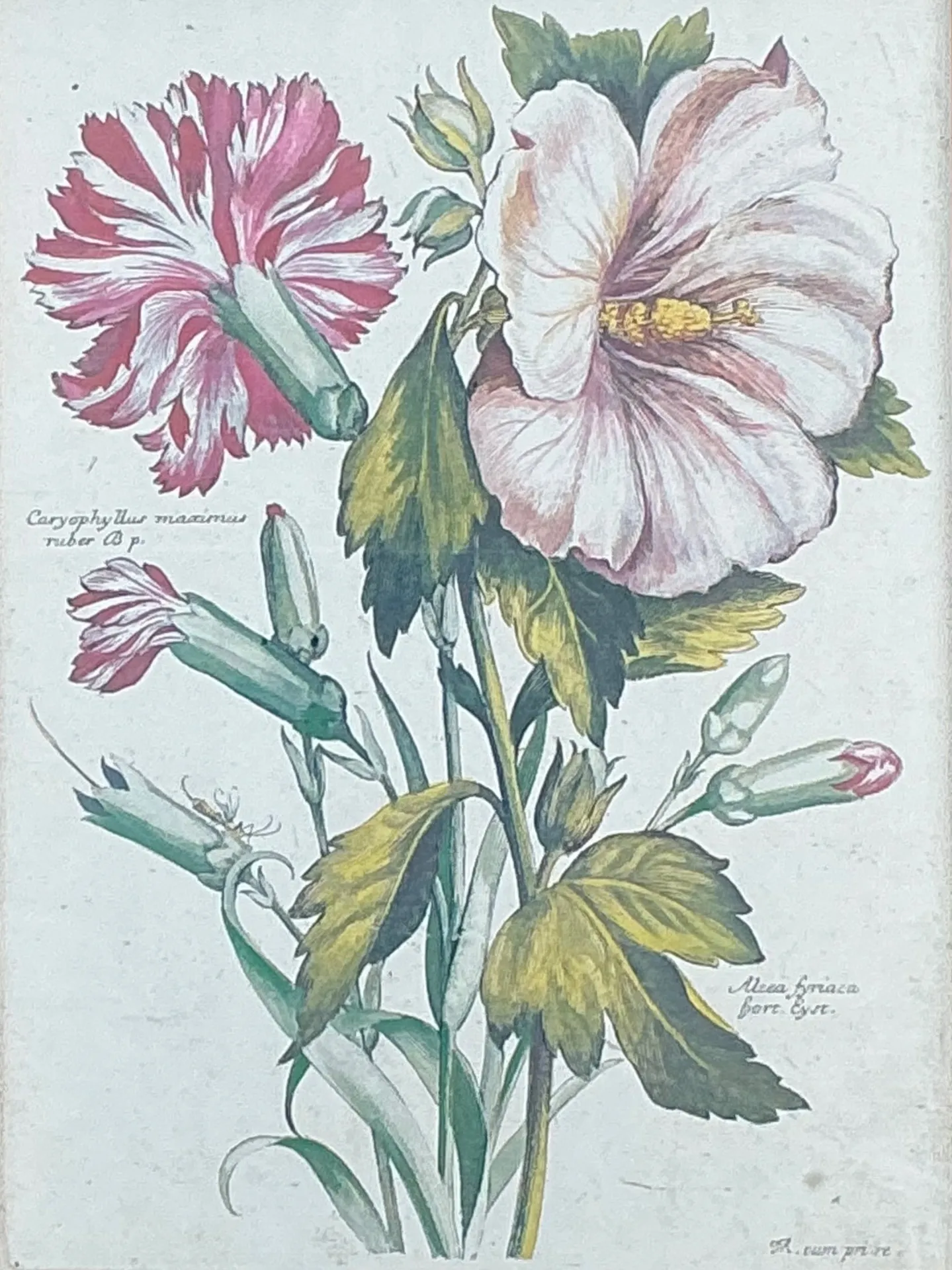 Vintage Chelsea House Botanical Floral Print in Wood Frame — additional photo 1