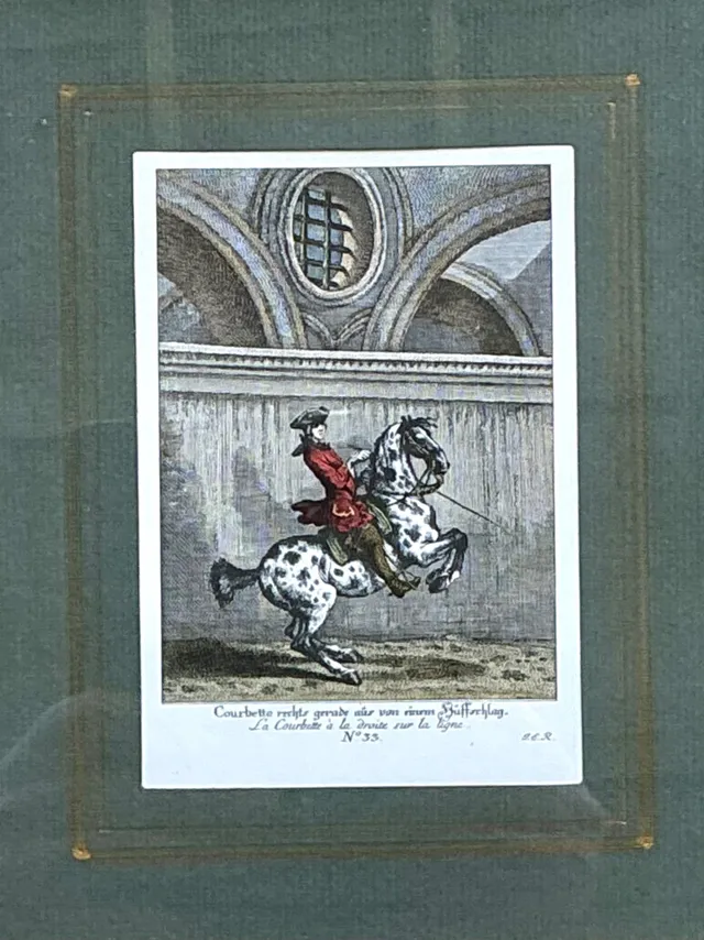 Vintage Equestrian Engravings in Gilt Frames - Set of 6 — additional photo 5