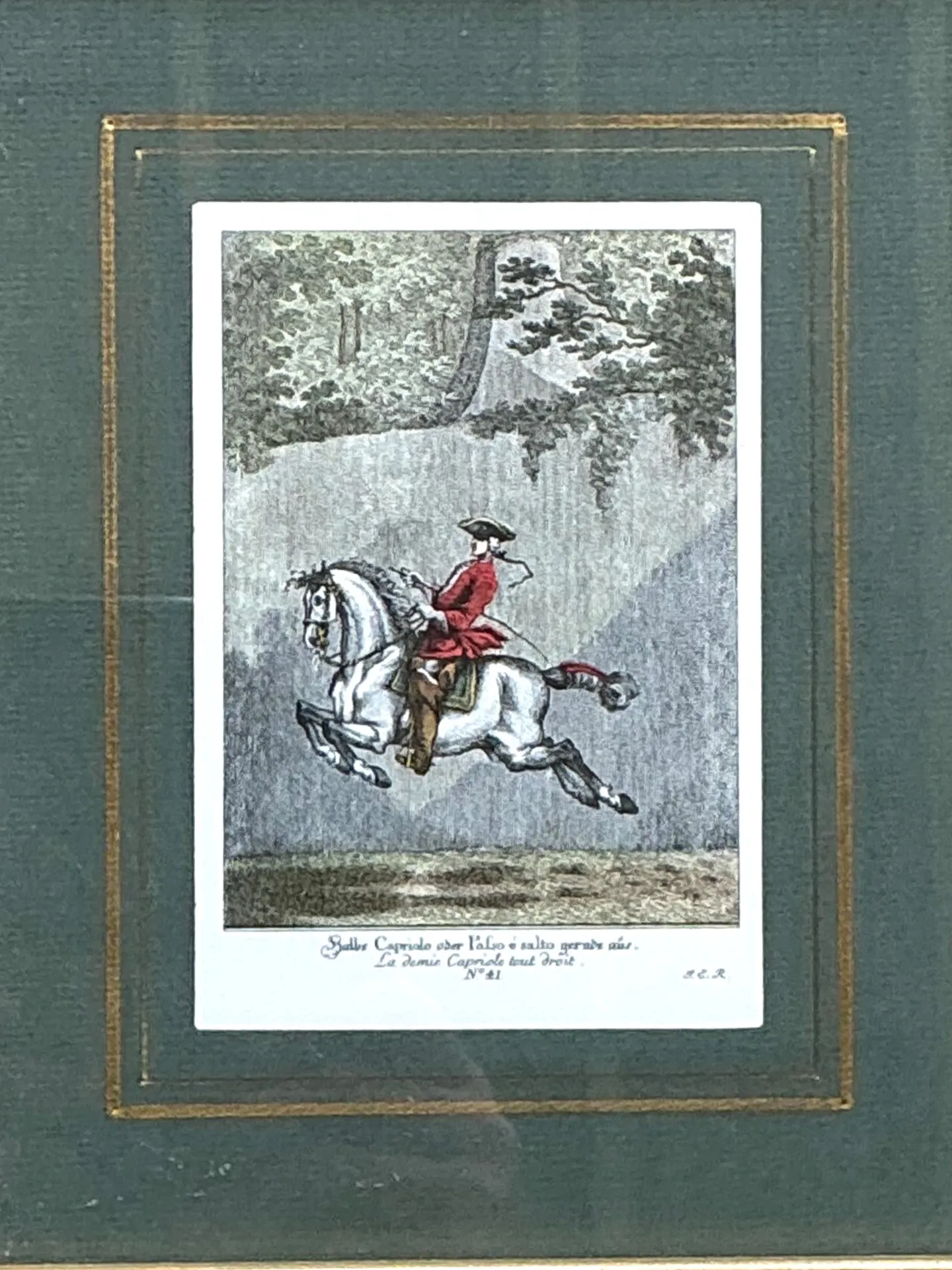 Vintage Equestrian Engravings in Gilt Frames - Set of 6 — additional photo 6