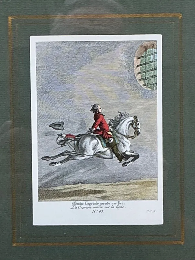 Vintage Equestrian Engravings in Gilt Frames - Set of 6 — additional photo 1