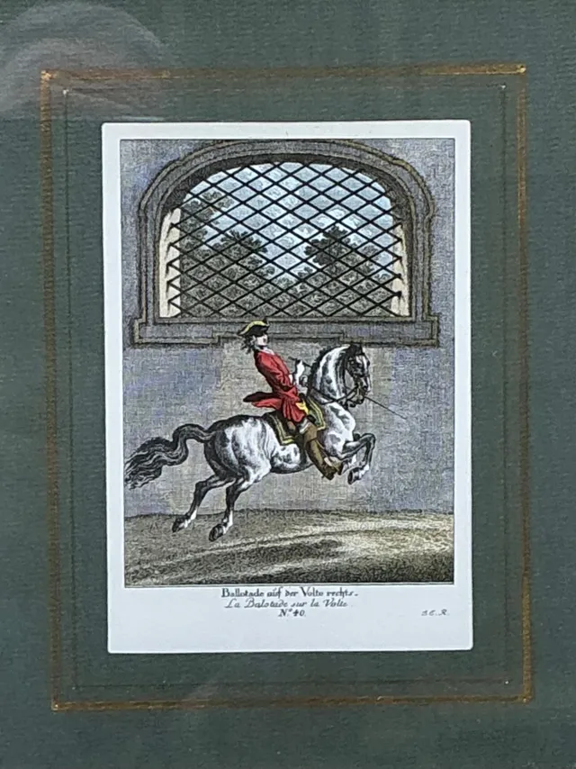 Vintage Equestrian Engravings in Gilt Frames - Set of 6 — additional photo 4