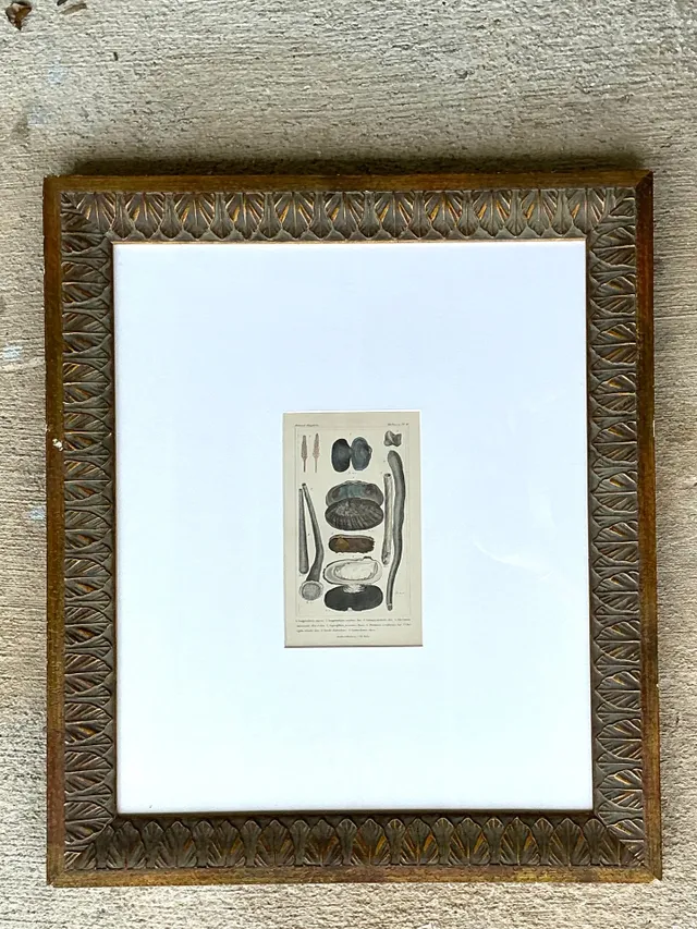 Vintage Undersea Specimen Print in Carved Wood Frame — additional photo 2