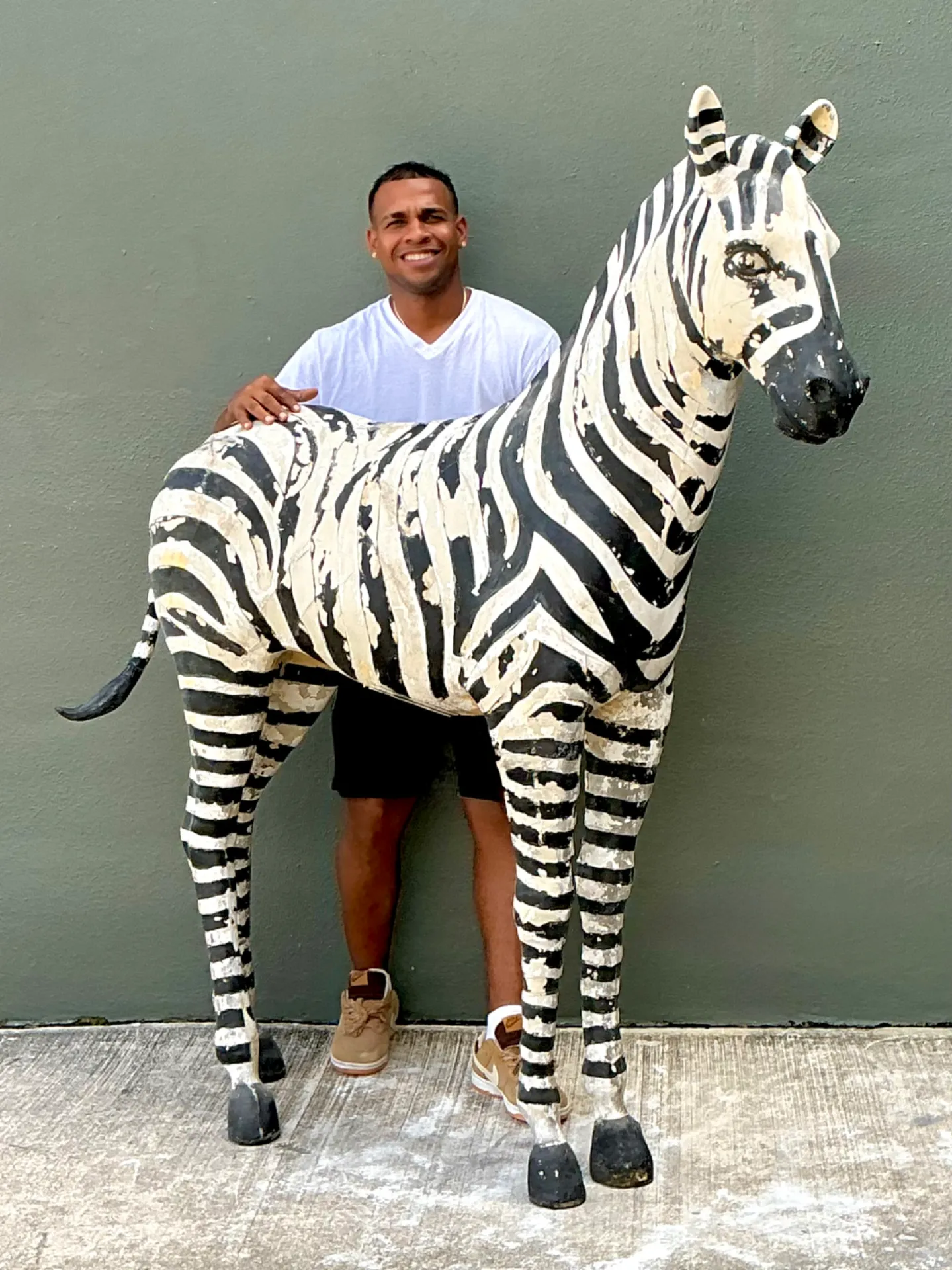 Vintage Life Size Baby Zebra — additional photo 3