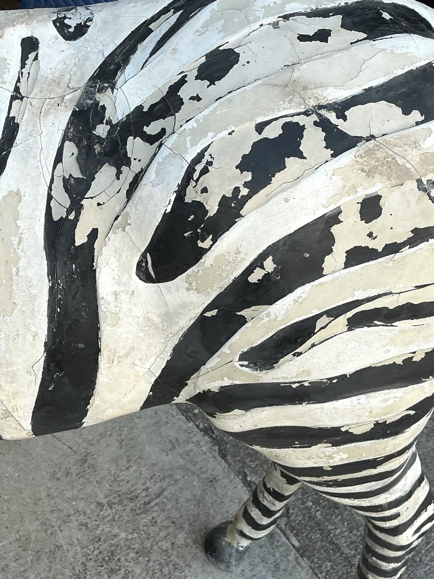 Vintage Life Size Baby Zebra — additional photo 7