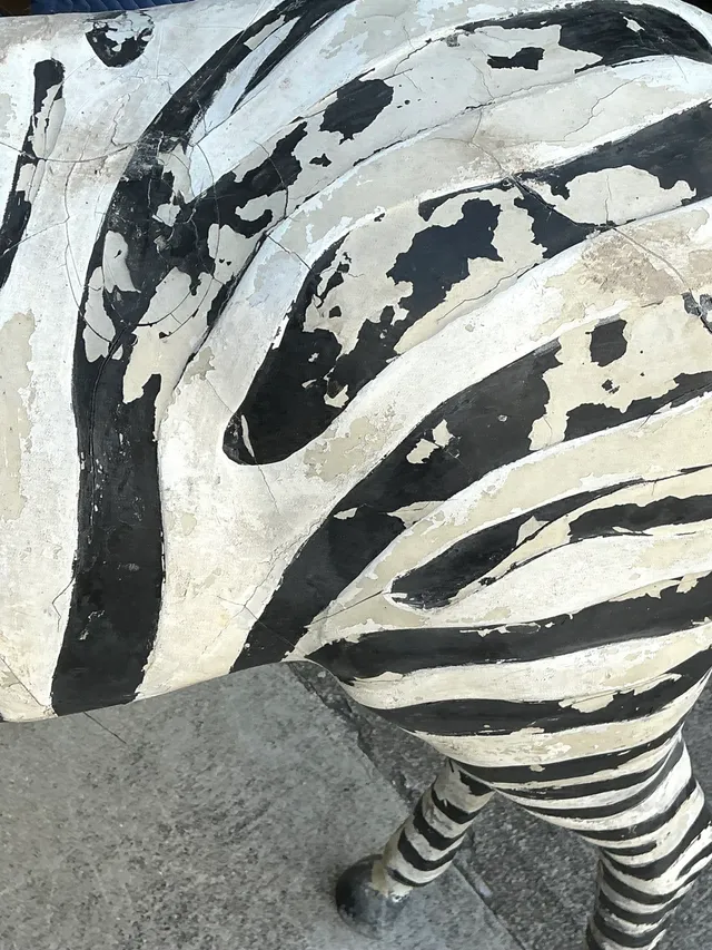 Vintage Life Size Baby Zebra — additional photo 7
