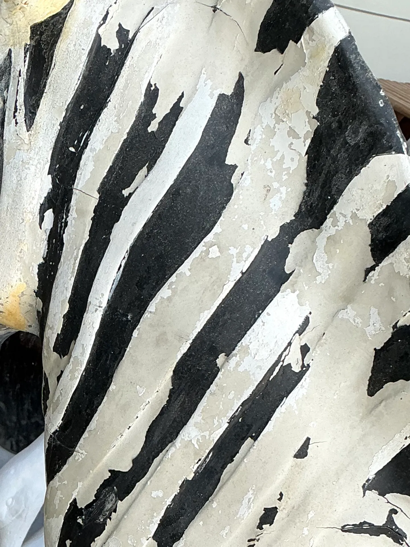 Vintage Life Size Baby Zebra — additional photo 6