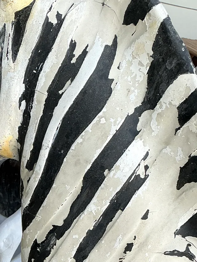 Vintage Life Size Baby Zebra — additional photo 6